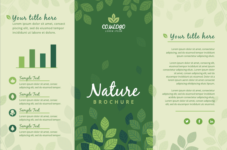 triptico-para-tienda-ecologica