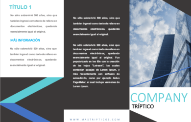 Triptico-Company-Blue